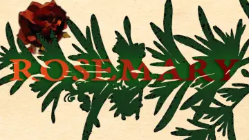 Задник к фильму "Rosemary" #919060