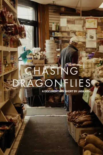 Постер к фильму "Chasing Dragonflies" #917982