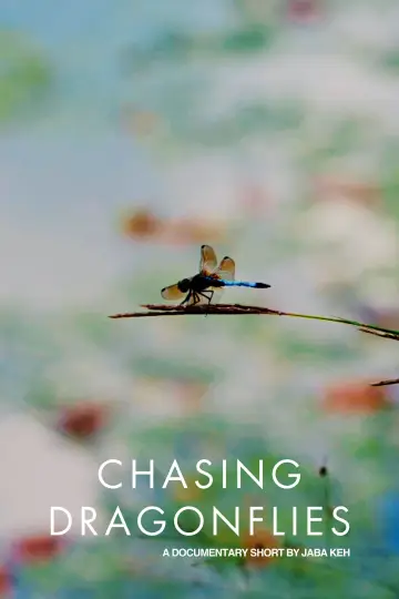 Постер к фильму "Chasing Dragonflies" #917983