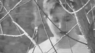 Задник к фильму "Montage of Vitrine" #917728