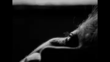 Задник к фильму "Anatomía de un retrato" #920135