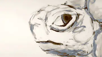 Задник к фильму "Tortoise" #1186908