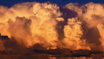 Задник к фильму "Un Dernier Jour (ou Les Quatre Saisons)" #929735