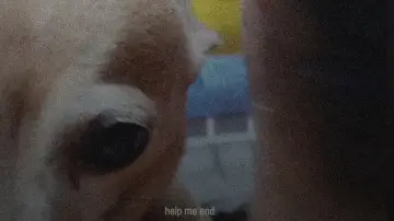 Задник к фильму "Pet Shop" #914392