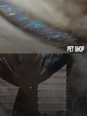 Pet Shop постер