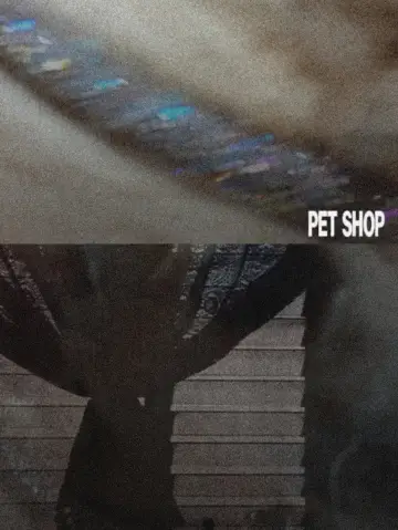Постер к фильму "Pet Shop" #914397