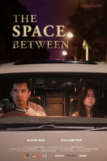 Постер к фильму "The Space Between" #978714