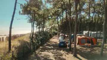 Задник к фильму "Le camping, un siècle de bonheur français" #929548