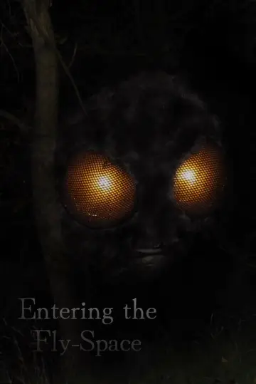 Entering the Fly-Space постер