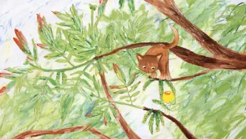 Задник к фильму "Patouille et Momo, les contes de la forêts" #979197