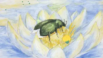 Задник к фильму "Patouille et Momo, les contes de la forêts" #979199