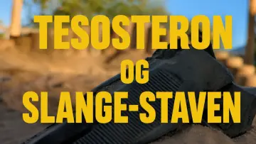 Задник к фильму "TESTOSTERON OG SLANGE-STAVEN" #952880