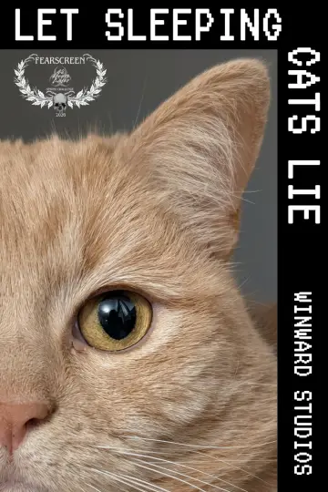 Let Sleeping Cats Lie постер