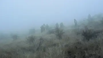 Задник к фильму "Cercul" #955664