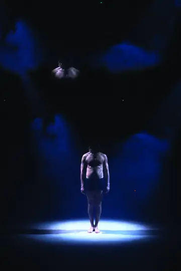 Постер к фильму "to dance the absence" #933988