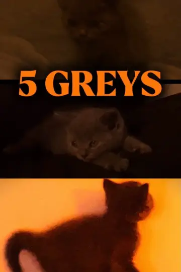 Постер к фильму "5 Greys" #957252