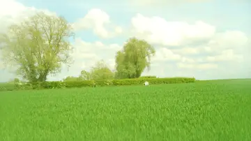 Задник к фильму "Hémisphère" #955556