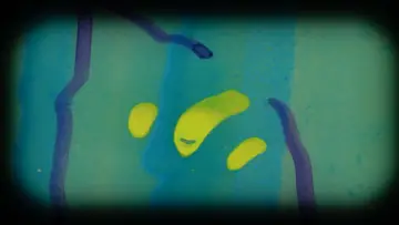 Задник к фильму "Western Blot!" #1575177