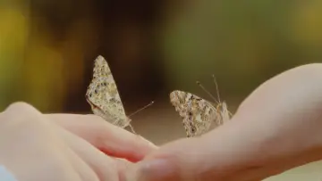 Задник к фильму "All of Us Girls" #957161