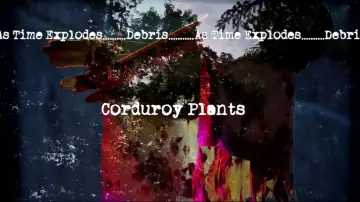 Задник к фильму "Corduroy Plants" #955619