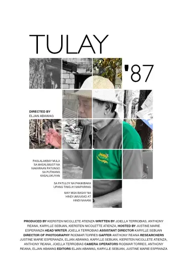 Tulay '87 постер