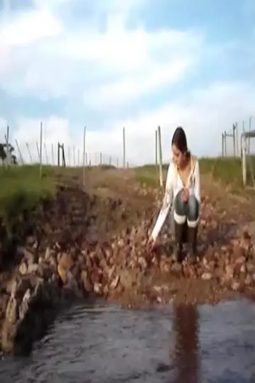 Постер к фильму "My Irish Goodbye" #955191