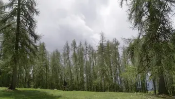 Задник к фильму "Pas à Pas" #956176