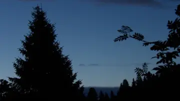 Задник к фильму "The Blue Hour" #1159561