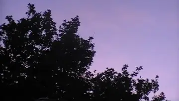 Задник к фильму "Towards The Night" #957525