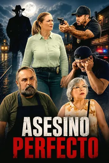 Asesino Perfecto постер