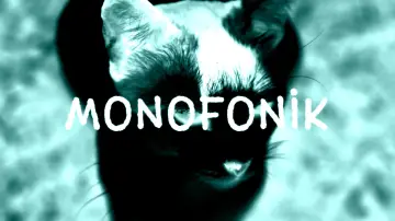 Задник к фильму "Monofonik" #981148