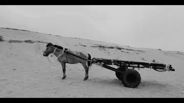 Задник к фильму "The Nomad