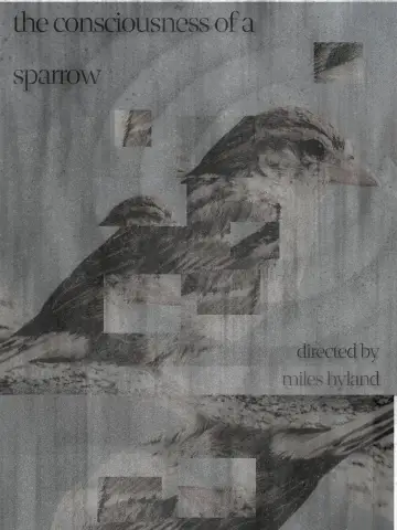 The Consciousness of a Sparrow постер