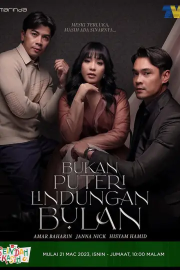 Bukan Puteri Lindungan Bulan постер