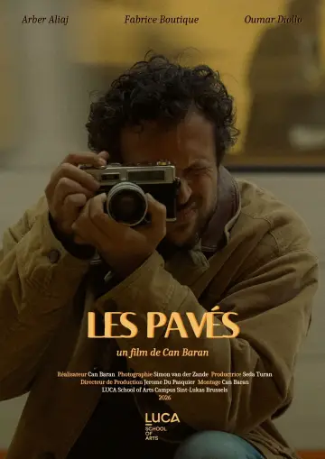 Les Pavés постер