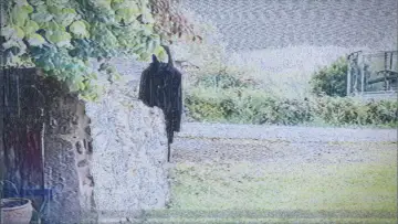 Задник к фильму "L