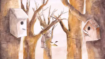 Задник к фильму "Le chant des oiseaux" #1295422