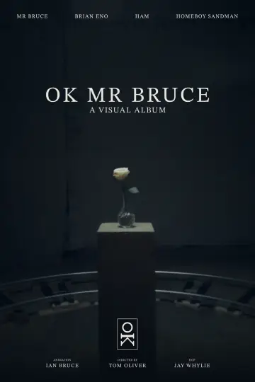 OK MR BRUCE постер