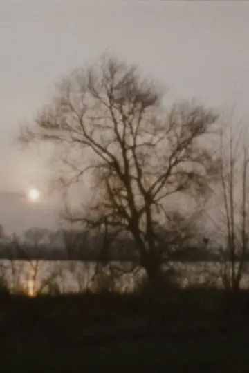 Постер к фильму "Landscape as Landscape - 27" #958340