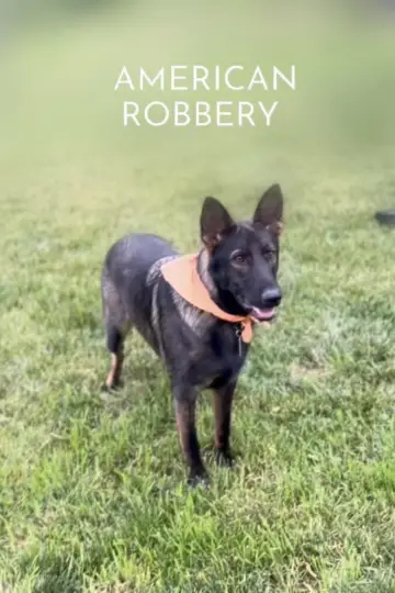 Постер к фильму "American Robbery" #1152533