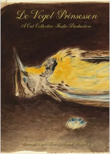 De vogel prinsessen постер