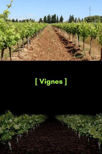 Постер к фильму "[ Vignes ]" #1144628