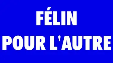 Задник к фильму "FÉLIN POUR L