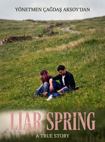 Liar Spring постер
