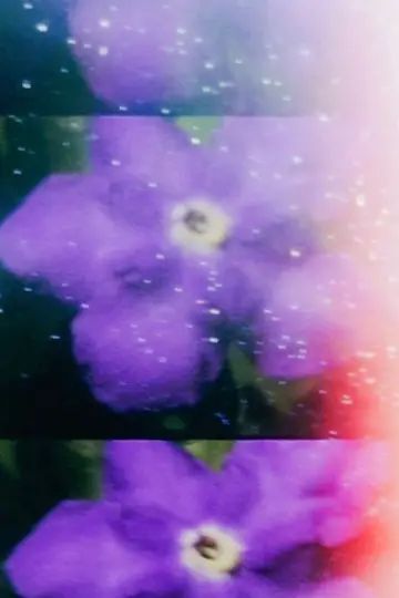 Постер к фильму "Venus" #1159920