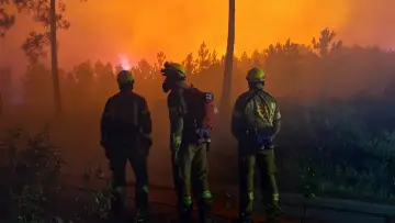 Задник к фильму "Incendies, innover pour mieux lutter" #1228298