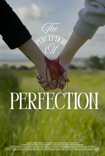 The Perception of Perfection