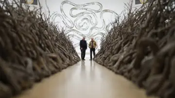 Задник к фильму "Andy Goldsworthy in Conversation with Andrew Graham-Dixon" #1349672