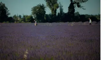 Задник к фильму "Le Poulet des Larcher" #1169506