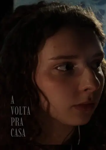 A volta pra casa постер